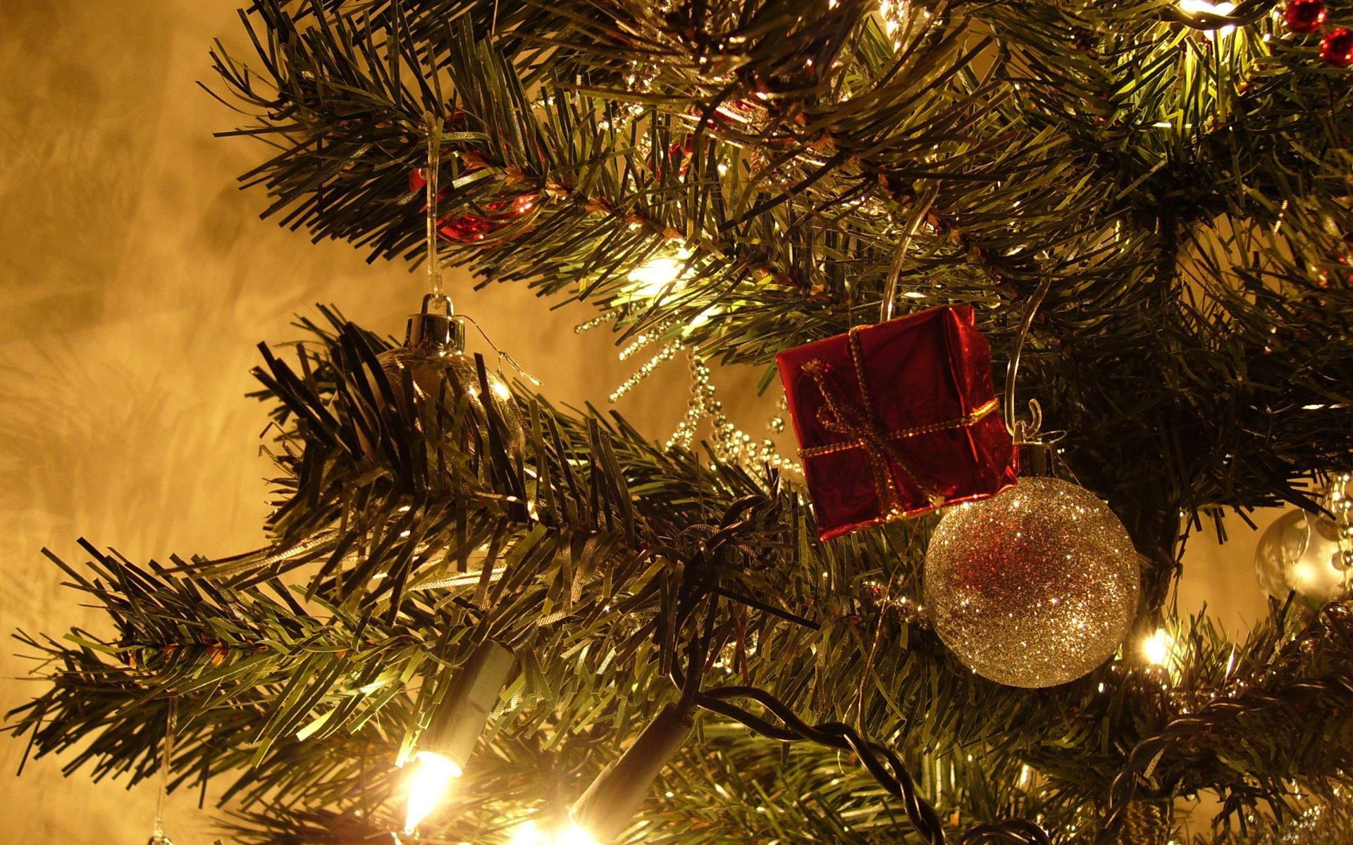 carta da parati di natale 2017,ornamento di natale,albero di natale,albero,natale,decorazione natalizia