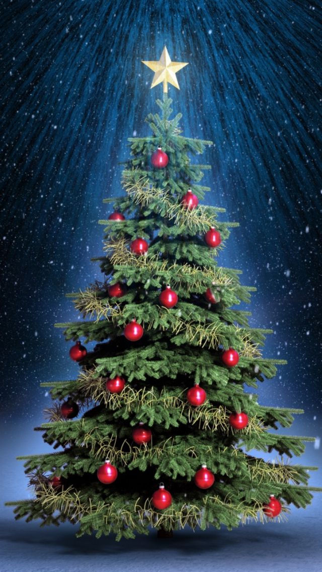 fond d'écran de noël pour android,sapin de noël,épicéa du colorado,décoration de noël,arbre,noël