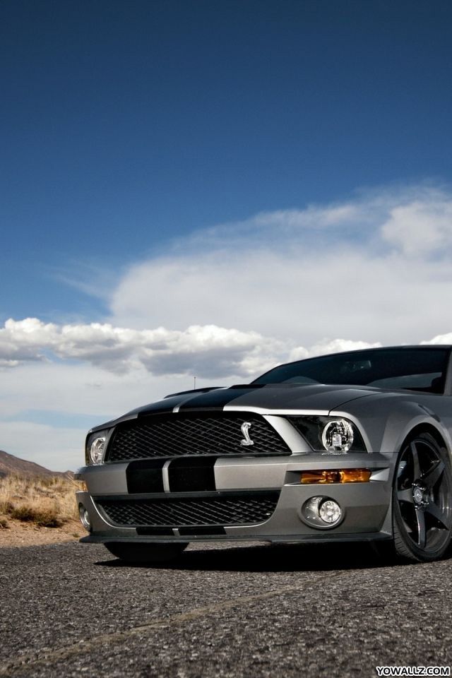 mustang iphone wallpaper,land vehicle,vehicle,car,shelby mustang,automotive design