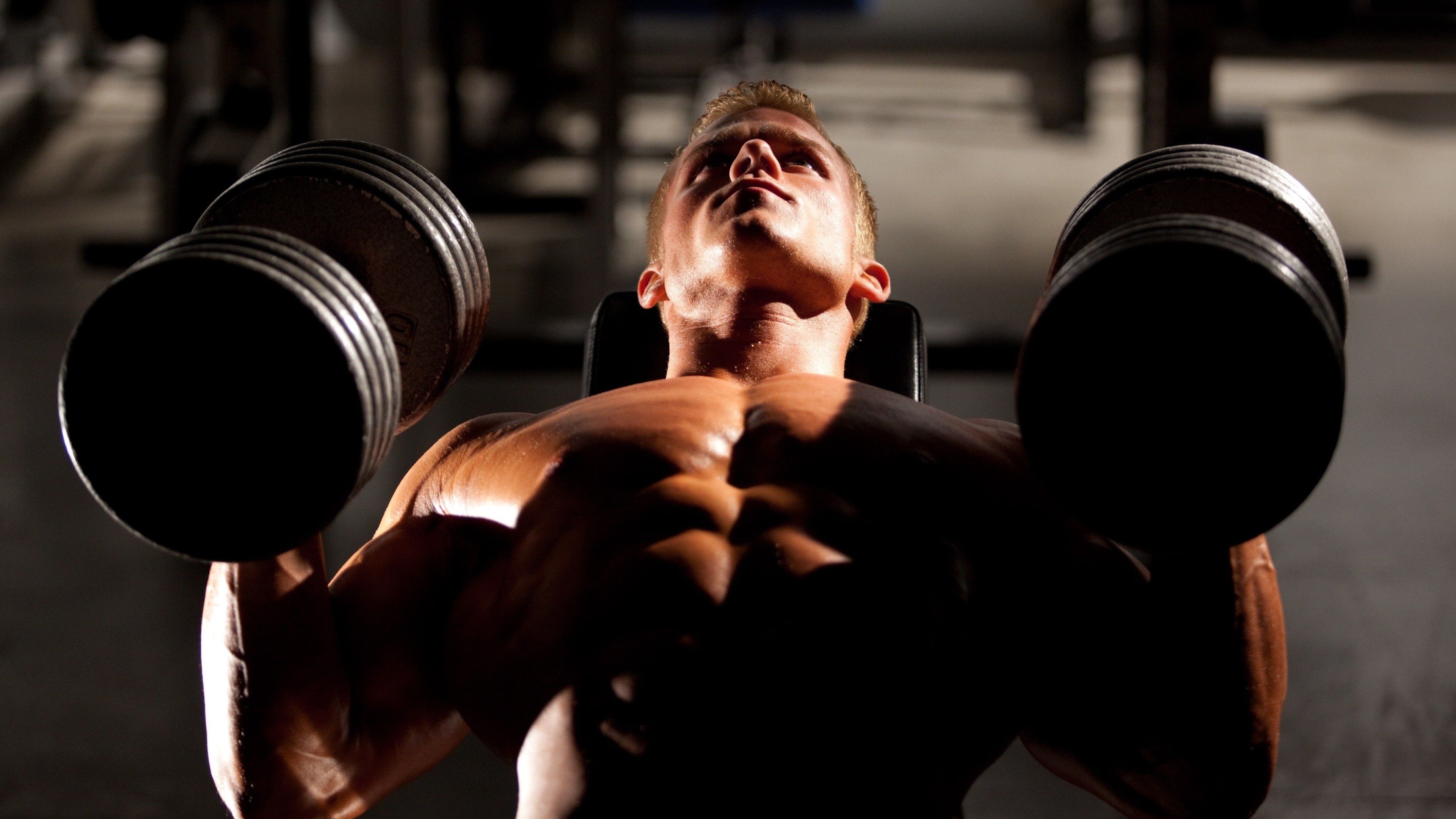 gimnasio fondos de pantalla hd,aptitud física,culturismo,hombro,entrenamiento con pesas,cofre