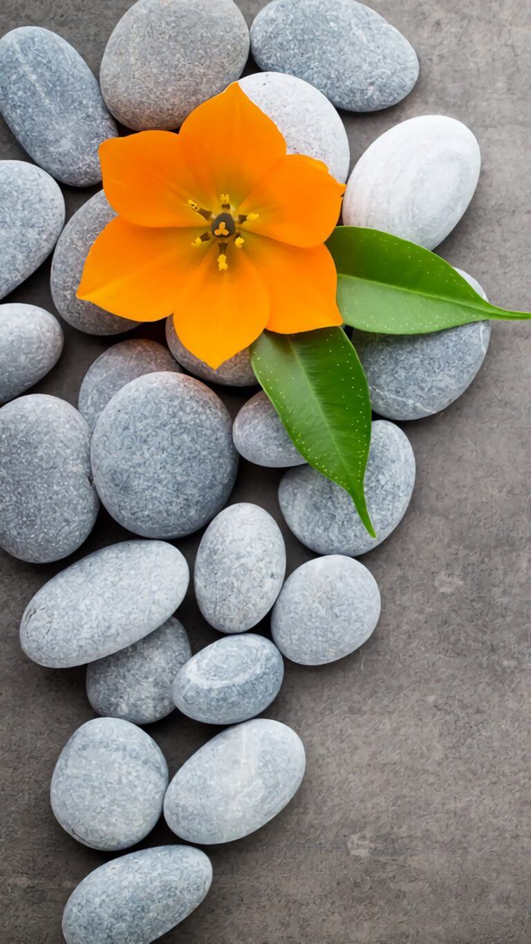 spa wallpaper,pebble,petal,flower,gravel,plant