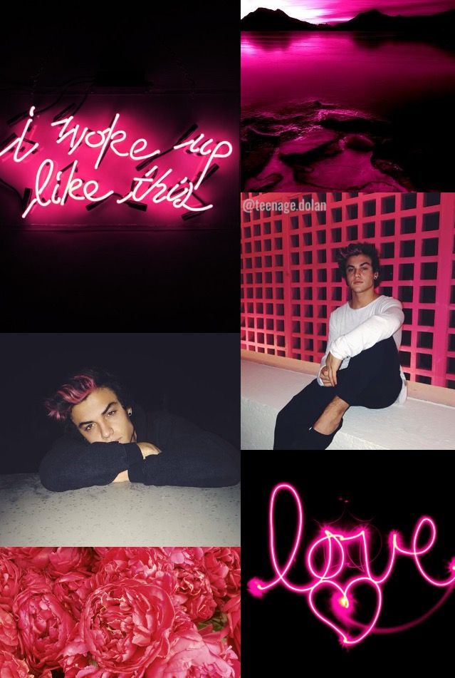 dolan twins wallpaper,pink,text,font,magenta,love