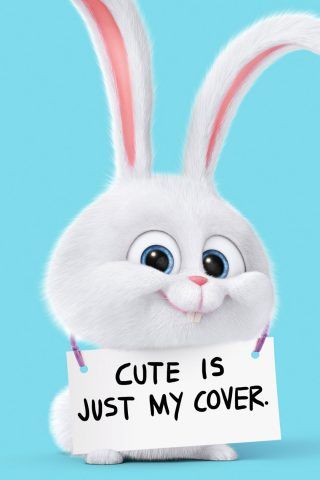 cute wallpapers for iphone 6,rabbit,rabbits and hares,whiskers,easter bunny,domestic rabbit