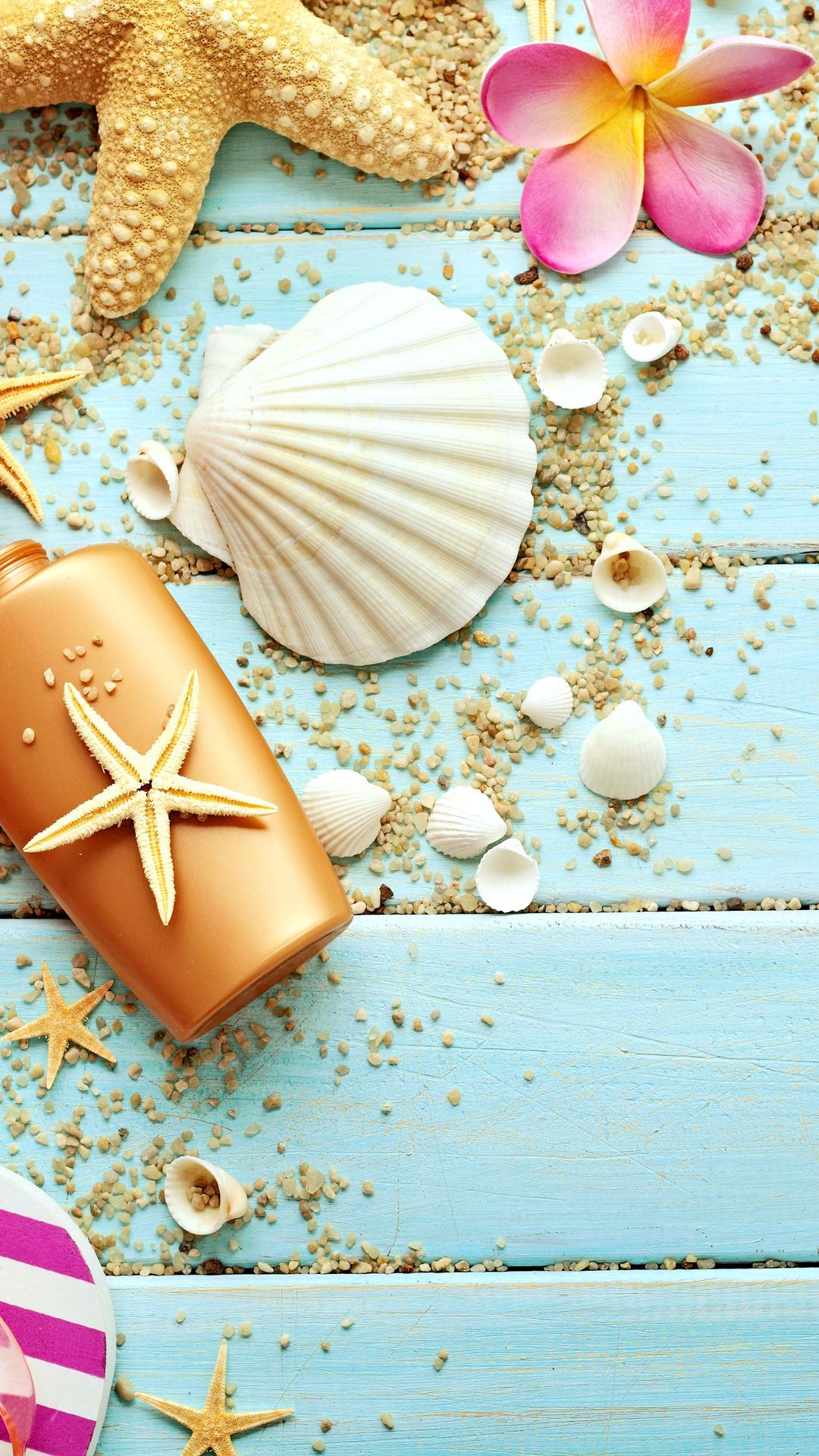 cute summer wallpapers,shell,sand,food,cuisine,natural material